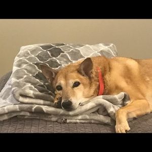 Meet your Posher, Susan